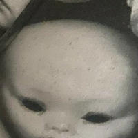 доллипасифика Голе